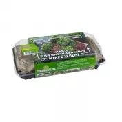 Набір для вирощування мікрозелені TerraPlus Листові овочі фото